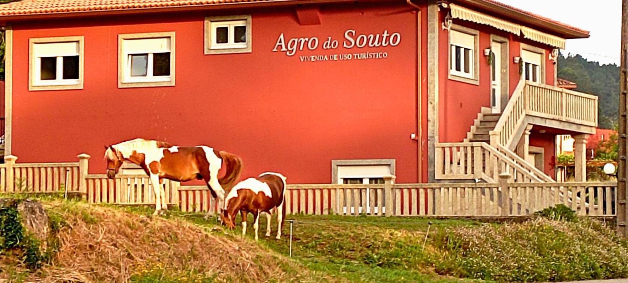 Agro Do Souto, Noia - Villa Completa المظهر الخارجي الصورة